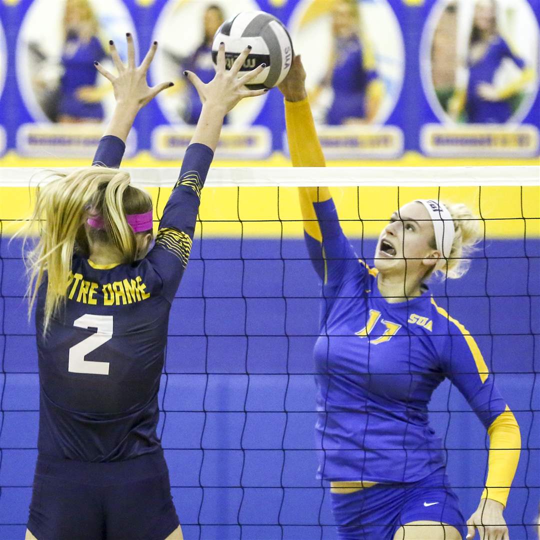 SPT-TRACvolleyball14p