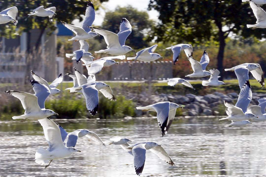 958ae15d-1480-434f-8c57-3bf150171415